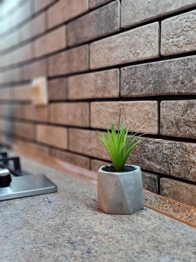 Petropavlivska Apartment Тиха Вуличка В Центрі Старого Міста Каменец-Подольский Экстерьер фото